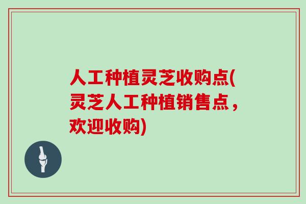 人工种植灵芝收购点(灵芝人工种植销售点，欢迎收购)