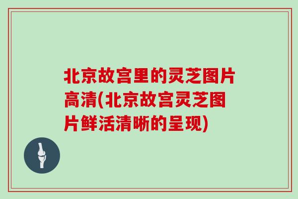 北京故宫里的灵芝图片高清(北京故宫灵芝图片鲜活清晰的呈现)