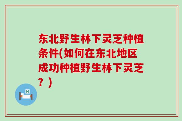 东北野生林下灵芝种植条件(如何在东北地区成功种植野生林下灵芝？)