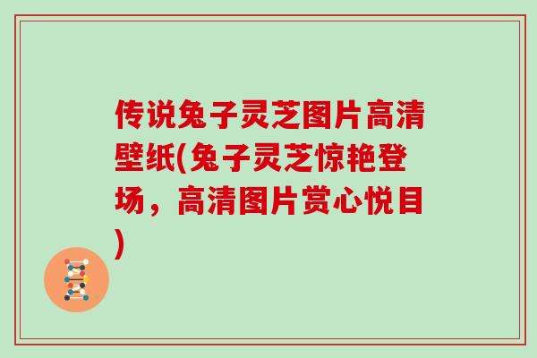 传说兔子灵芝图片高清壁纸(兔子灵芝惊艳登场，高清图片赏心悦目)