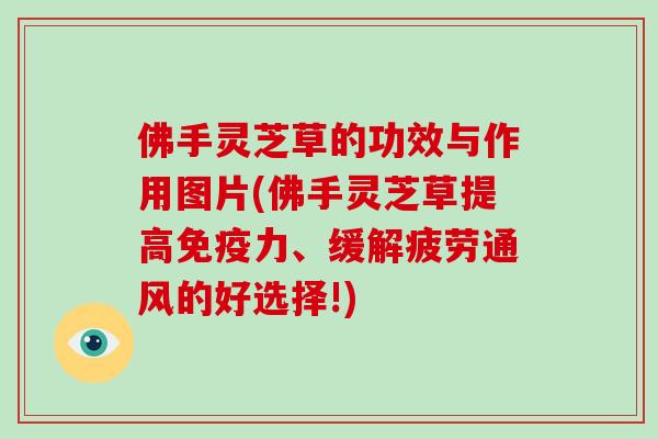 佛手灵芝草的功效与作用图片(佛手灵芝草提高免疫力、缓解疲劳通风的好选择!)