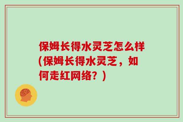 保姆长得水灵芝怎么样(保姆长得水灵芝，如何走红网络？)