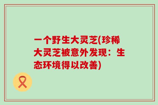 一个野生大灵芝(珍稀大灵芝被意外发现：生态环境得以改善)