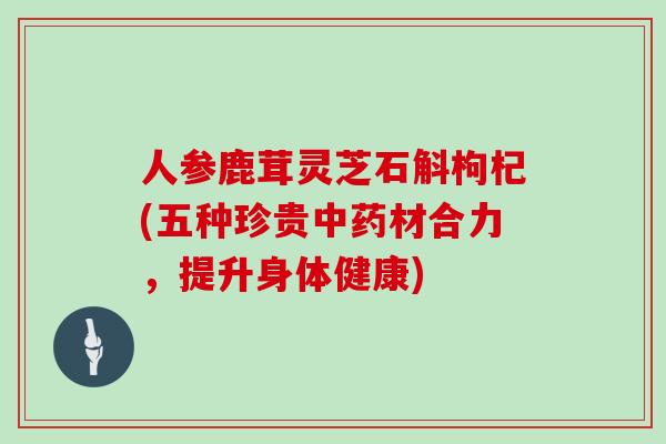 人参鹿茸灵芝石斛枸杞(五种珍贵材合力，提升身体健康)