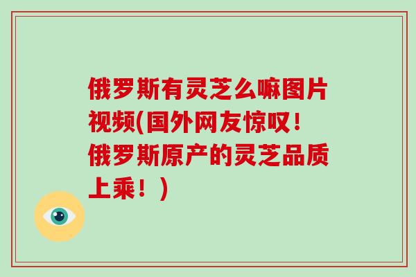 俄罗斯有灵芝么嘛图片视频(国外网友惊叹！俄罗斯原产的灵芝品质上乘！)