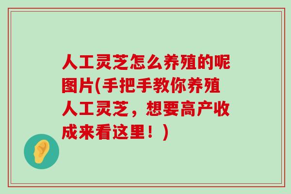 人工灵芝怎么养殖的呢图片(手把手教你养殖人工灵芝，想要高产收成来看这里！)