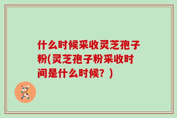 什么时候采收灵芝孢子粉(灵芝孢子粉采收时间是什么时候？)