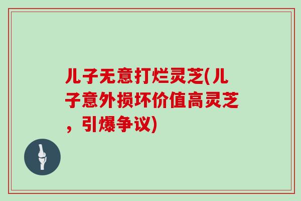 儿子无意打烂灵芝(儿子意外损坏价值高灵芝，引爆争议)