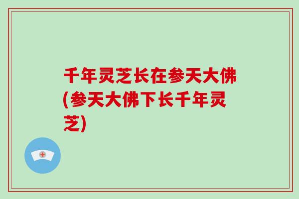 千年灵芝长在参天大佛(参天大佛下长千年灵芝)