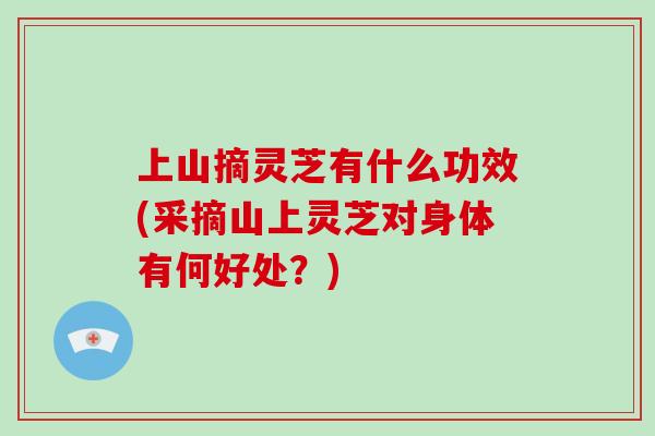 上山摘灵芝有什么功效(采摘山上灵芝对身体有何好处？)