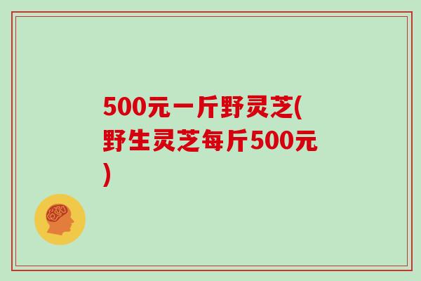 500元一斤野灵芝(野生灵芝每斤500元)