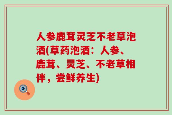 人参鹿茸灵芝不老草泡酒(草药泡酒：人参、鹿茸、灵芝、不老草相伴，尝鲜养生)