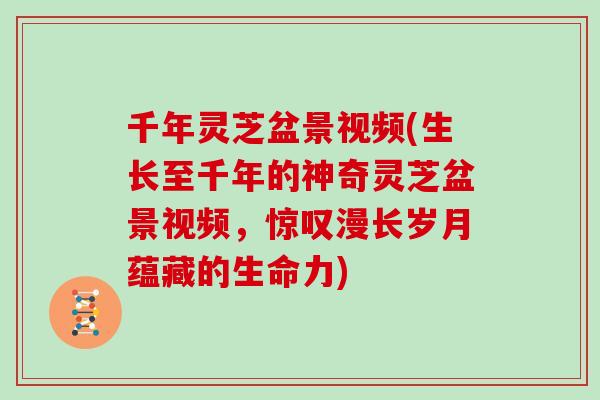 千年灵芝盆景视频(生长至千年的神奇灵芝盆景视频，惊叹漫长岁月蕴藏的生命力)