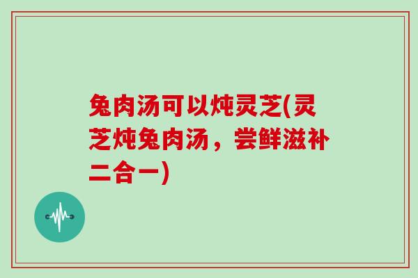 兔肉汤可以炖灵芝(灵芝炖兔肉汤，尝鲜滋补二合一)