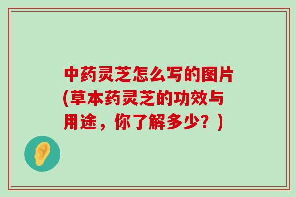 灵芝怎么写的图片(草本药灵芝的功效与用途，你了解多少？)