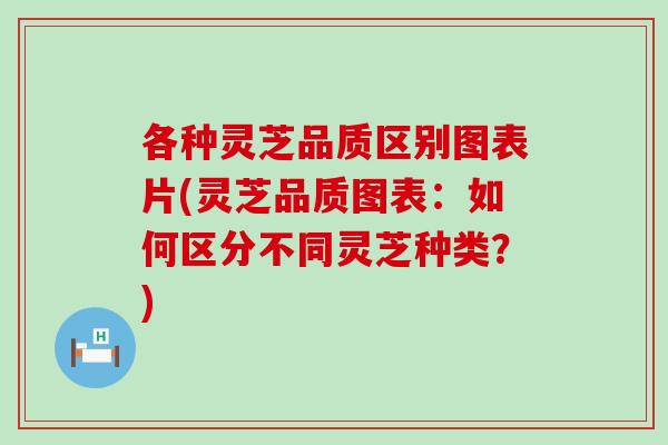 各种灵芝品质区别图表片(灵芝品质图表：如何区分不同灵芝种类？)