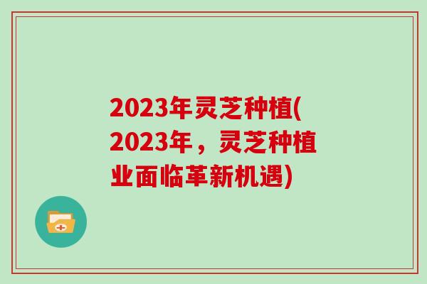 2023年灵芝种植(2023年，灵芝种植业面临革新机遇)