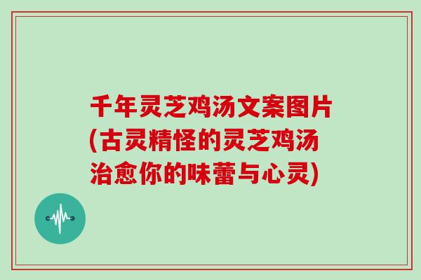 千年灵芝鸡汤文案图片(古灵精怪的灵芝鸡汤愈你的味蕾与心灵)