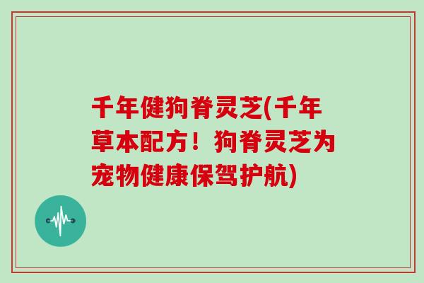 千年健狗脊灵芝(千年草本配方！狗脊灵芝为宠物健康保驾护航)