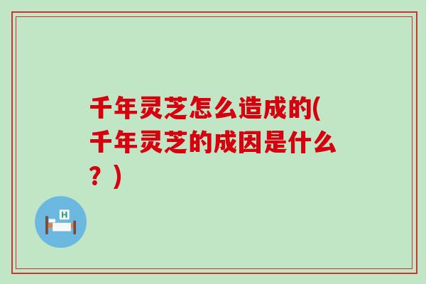 千年灵芝怎么造成的(千年灵芝的成因是什么？)