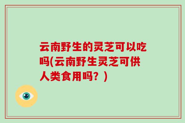 云南野生的灵芝可以吃吗(云南野生灵芝可供人类食用吗？)