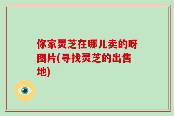 你家灵芝在哪儿卖的呀图片(寻找灵芝的出售地)