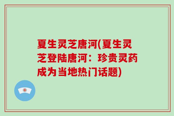 夏生灵芝唐河(夏生灵芝登陆唐河：珍贵灵药成为当地热门话题)