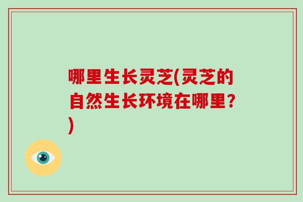 哪里生长灵芝(灵芝的自然生长环境在哪里？)