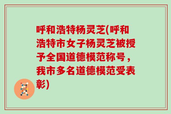 呼和浩特杨灵芝(呼和浩特市女子杨灵芝被授予全国道德模范称号，我市多名道德模范受表彰)