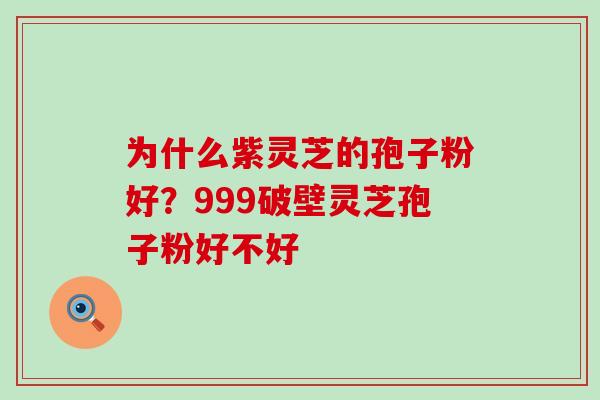 为什么紫灵芝的孢子粉好？999破壁灵芝孢子粉好不好