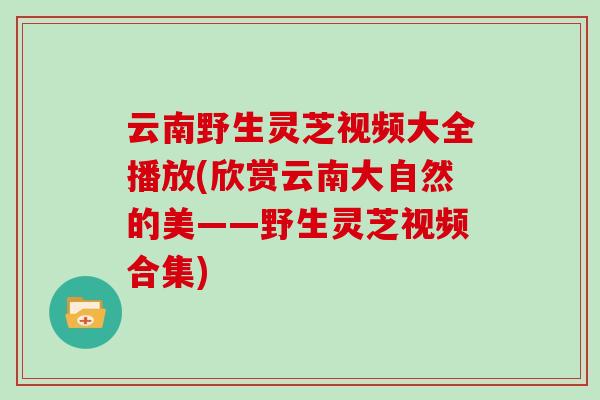 云南野生灵芝视频大全播放(欣赏云南大自然的美——野生灵芝视频合集)