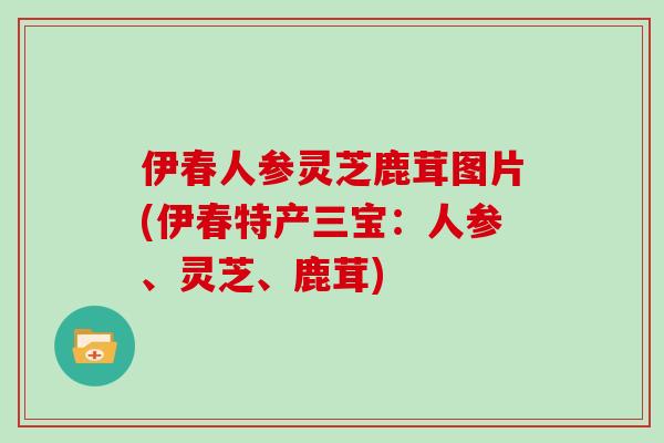 伊春人参灵芝鹿茸图片(伊春特产三宝：人参、灵芝、鹿茸)