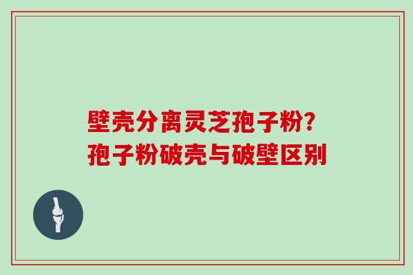 壁壳分离灵芝孢子粉？孢子粉破壳与破壁区别