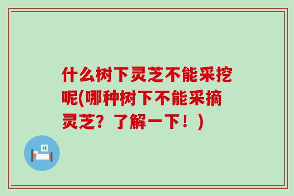 什么树下灵芝不能采挖呢(哪种树下不能采摘灵芝？了解一下！)