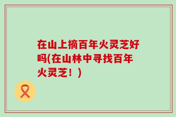 在山上摘百年火灵芝好吗(在山林中寻找百年火灵芝！)