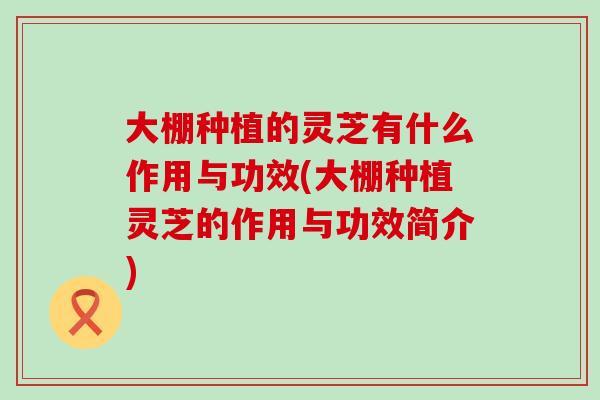 大棚种植的灵芝有什么作用与功效(大棚种植灵芝的作用与功效简介)