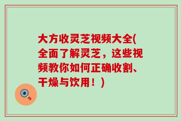 大方收灵芝视频大全(全面了解灵芝，这些视频教你如何正确收割、干燥与饮用！)