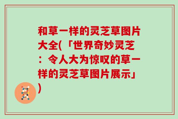 和草一样的灵芝草图片大全(「世界奇妙灵芝：令人大为惊叹的草一样的灵芝草图片展示」)