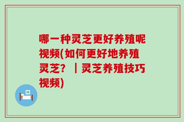 哪一种灵芝更好养殖呢视频(如何更好地养殖灵芝？｜灵芝养殖技巧视频)