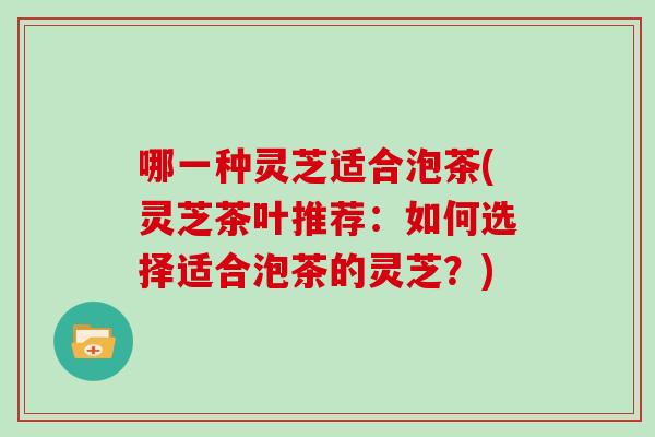 哪一种灵芝适合泡茶(灵芝茶叶推荐：如何选择适合泡茶的灵芝？)