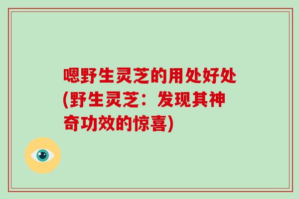 嗯野生灵芝的用处好处(野生灵芝：发现其神奇功效的惊喜)