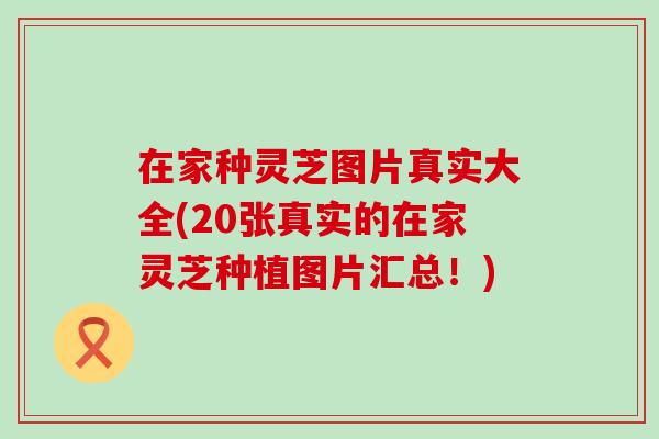 在家种灵芝图片真实大全(20张真实的在家灵芝种植图片汇总！)