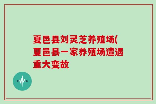 夏邑县刘灵芝养殖场(夏邑县一家养殖场遭遇重大变故