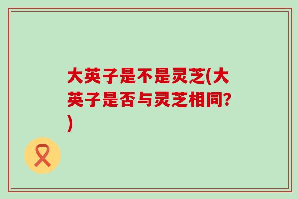 大英子是不是灵芝(大英子是否与灵芝相同？)