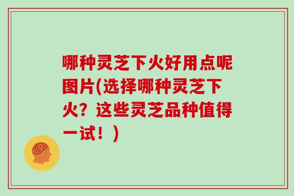 哪种灵芝下火好用点呢图片(选择哪种灵芝下火？这些灵芝品种值得一试！)