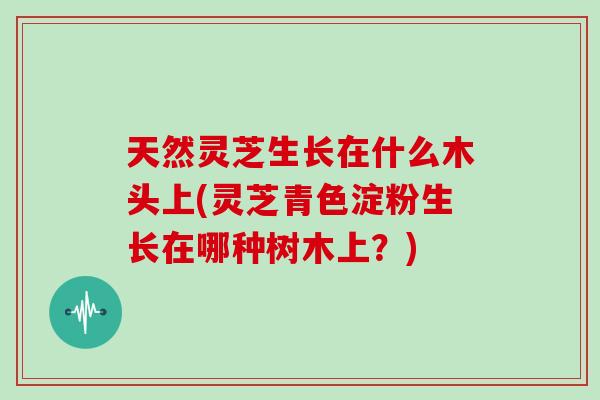 天然灵芝生长在什么木头上(灵芝青色淀粉生长在哪种树木上？)