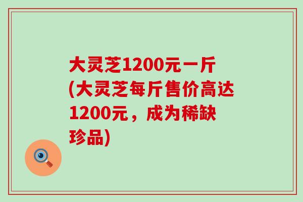 大灵芝1200元一斤(大灵芝每斤售价高达1200元，成为稀缺珍品)