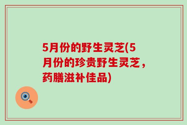 5月份的野生灵芝(5月份的珍贵野生灵芝，药膳滋补佳品)