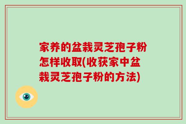 家养的盆栽灵芝孢子粉怎样收取(收获家中盆栽灵芝孢子粉的方法)