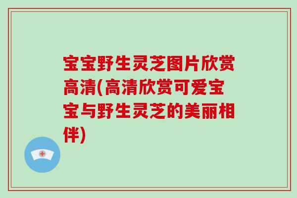 宝宝野生灵芝图片欣赏高清(高清欣赏可爱宝宝与野生灵芝的美丽相伴)